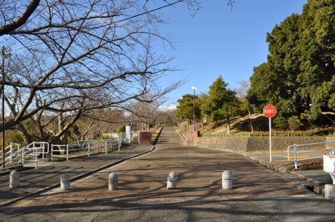 中山桜台公園